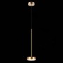 Подвесной светодиодный светильник ST Luce Pances SL6000.303.01