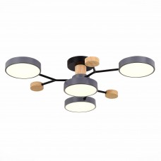 SLE6006-702-04 Светильник потолочный Серый/Серый LED 4*12W 3000K/4500K/6000K